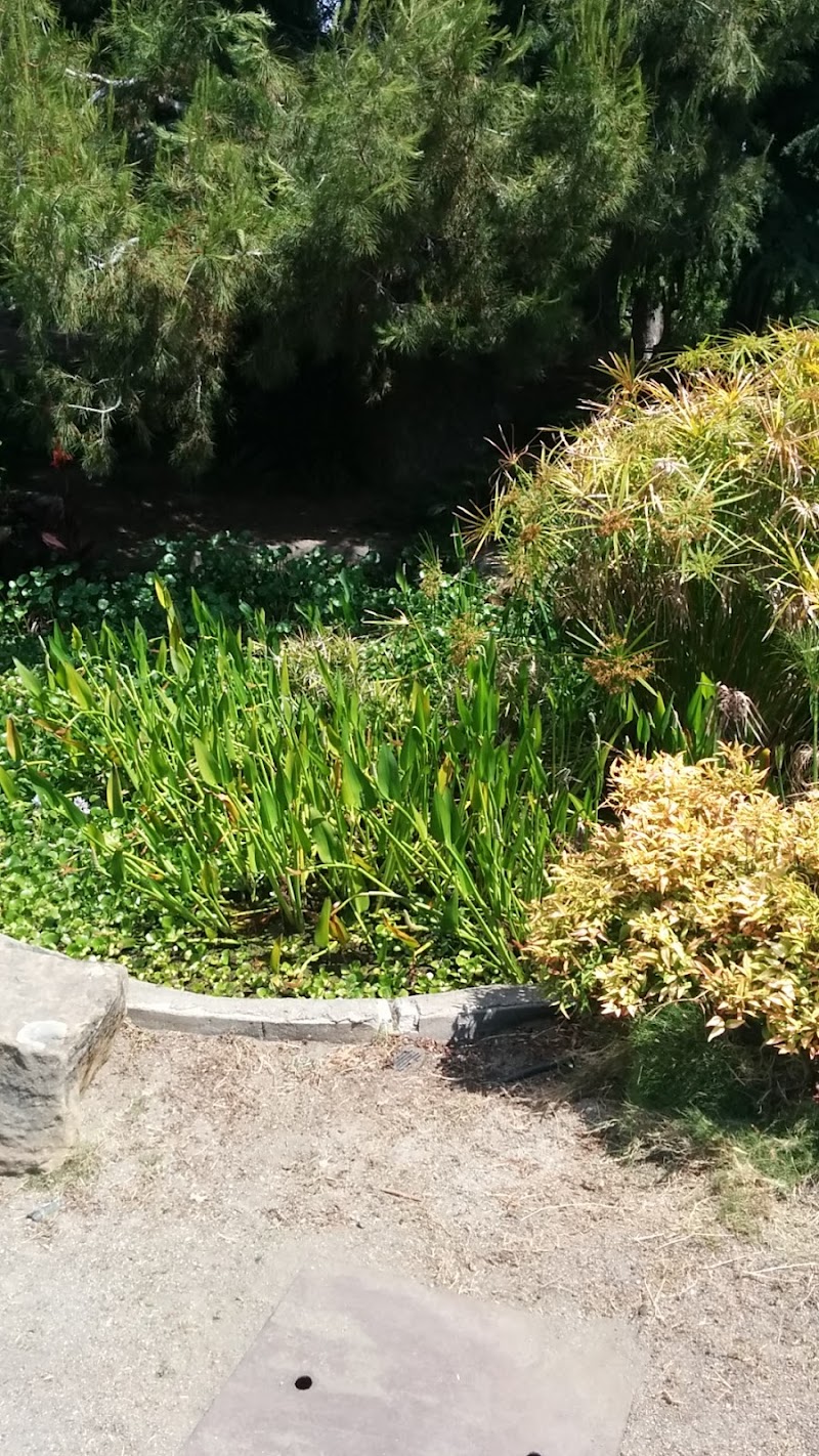 Dragonfly Habitat Garden photo 4
