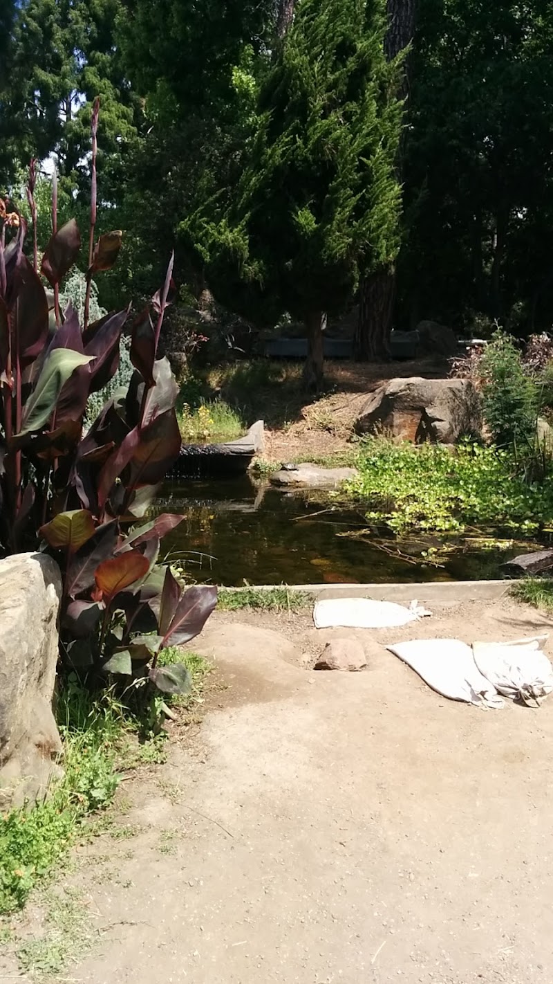 Dragonfly Habitat Garden photo 5