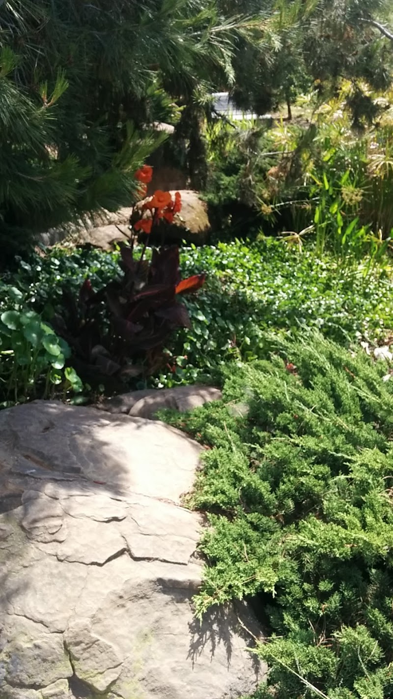 Dragonfly Habitat Garden photo 2