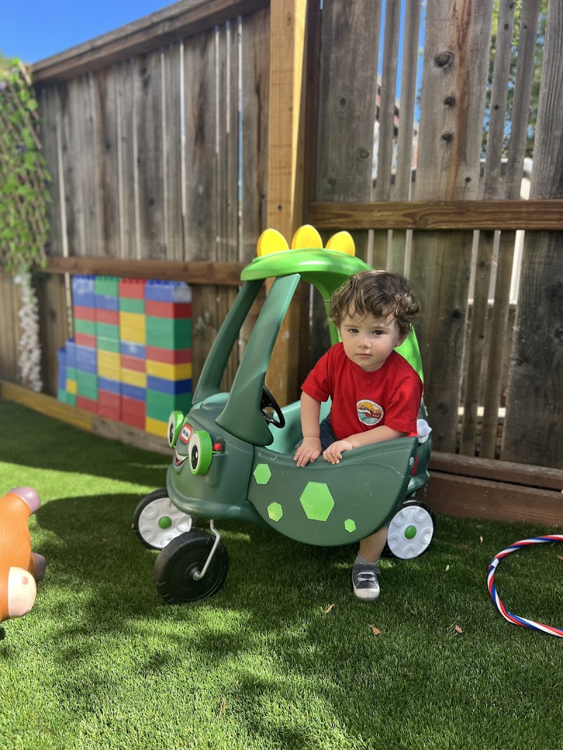Let's play daycare photo 5