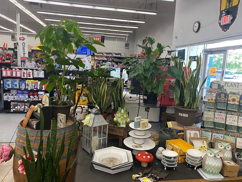 Dixon Ace Hardware and Dixon Hardware photo 4