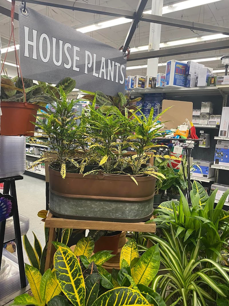 Dixon Ace Hardware and Dixon Hardware photo 3