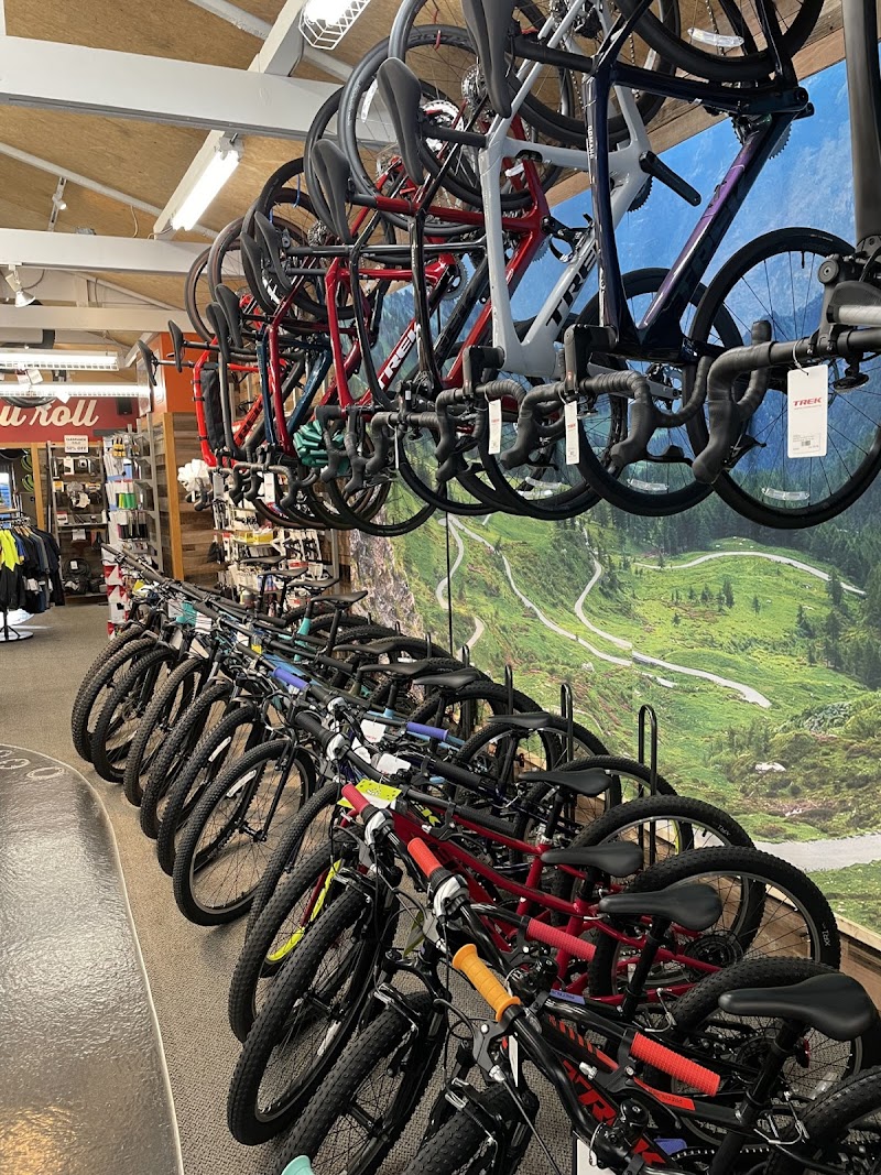 St Helena Cyclery photo 5