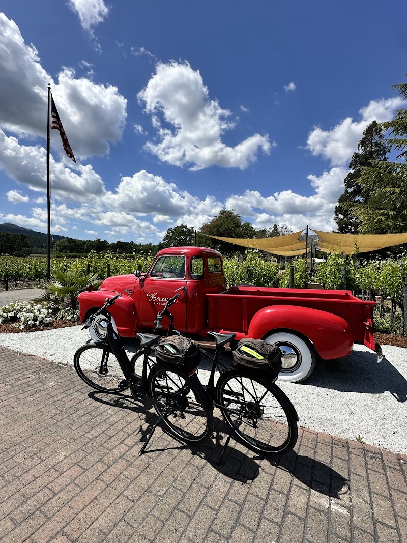 St Helena Cyclery photo 4