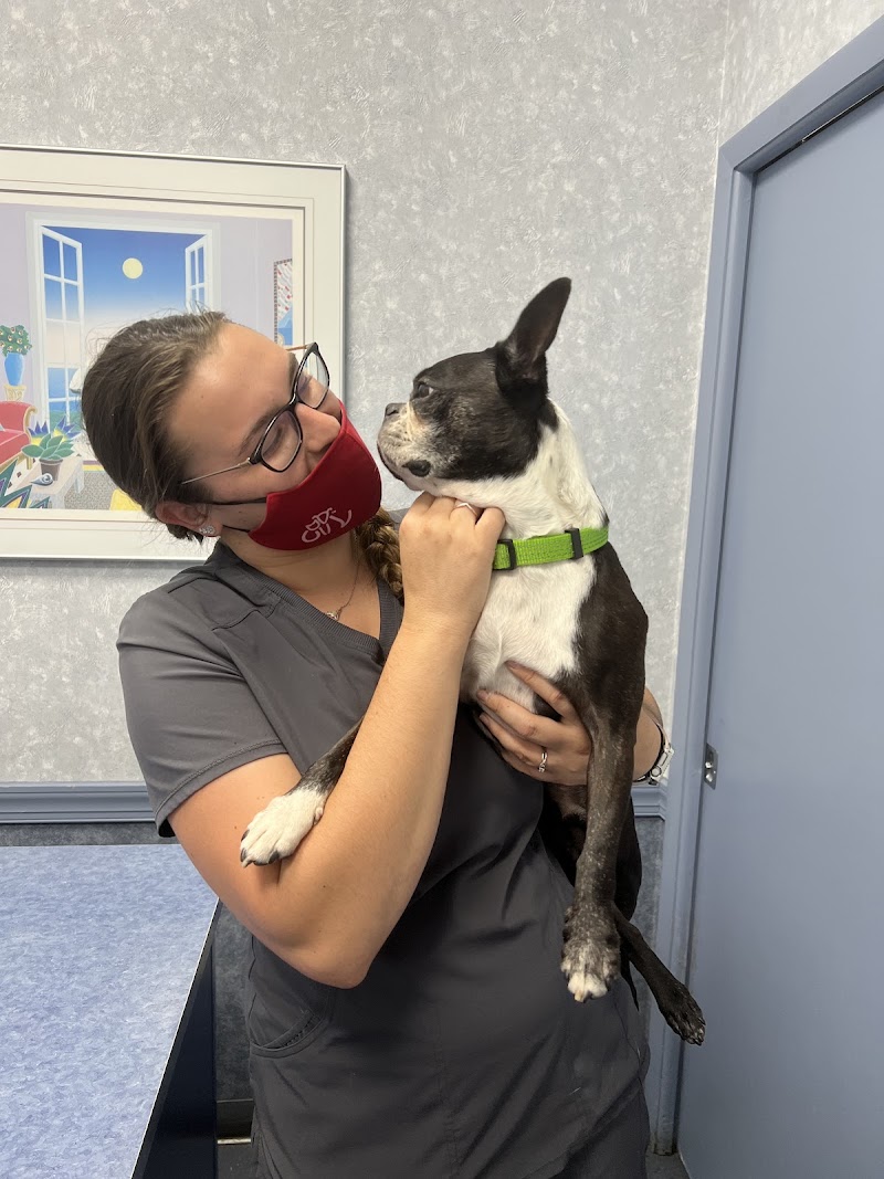 Photo of Plant City Animal Hospital