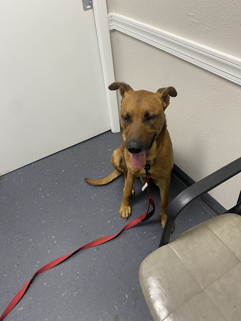 Plant City Animal Hospital photo 5
