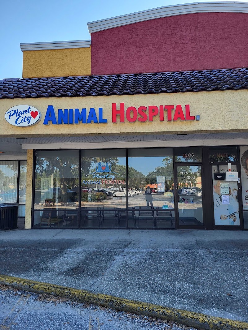 Plant City Animal Hospital photo 2