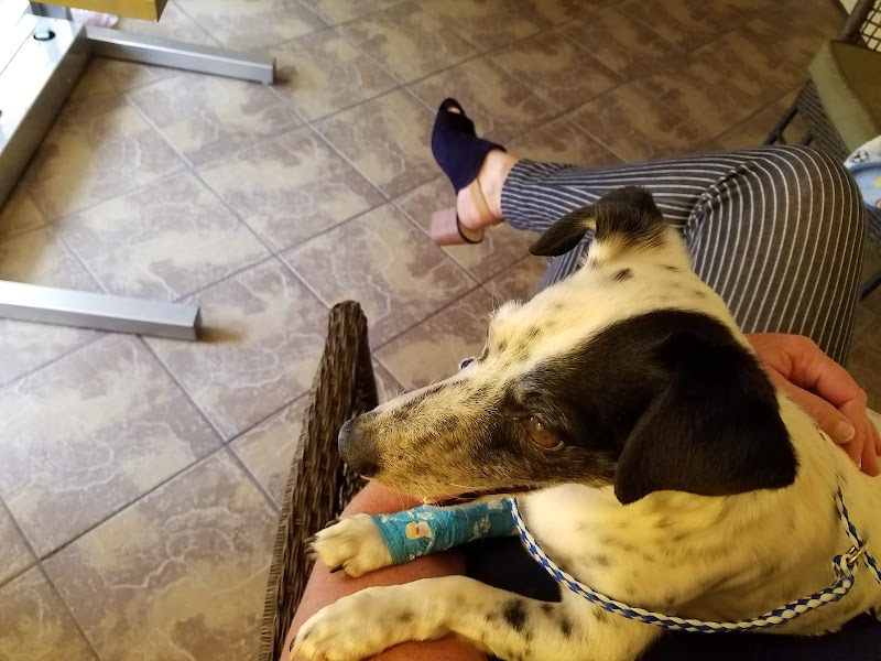 Starkey Ranch Animal Hospital photo 4