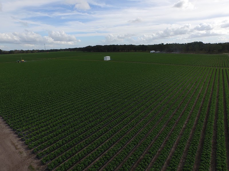 Photo of Mathis Farms