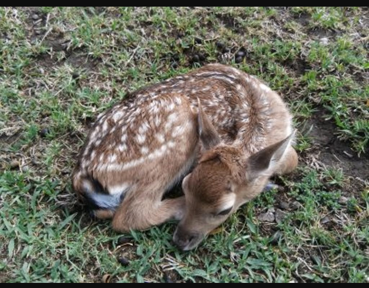 Mathis Farms photo 5