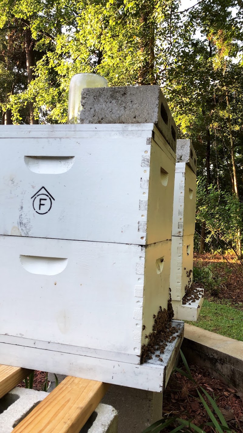Jumper Creek Ranch Honey photo 4