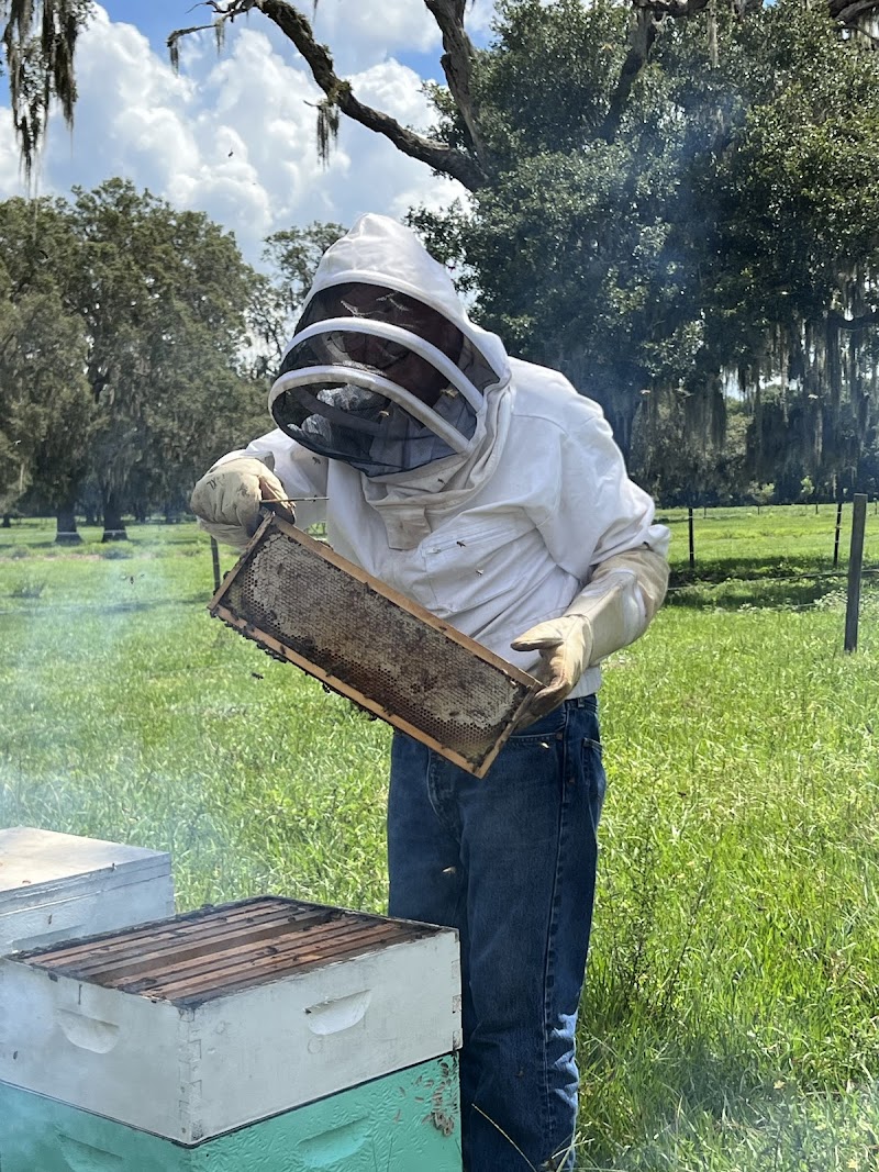 Photo of Jumper Creek Ranch Honey