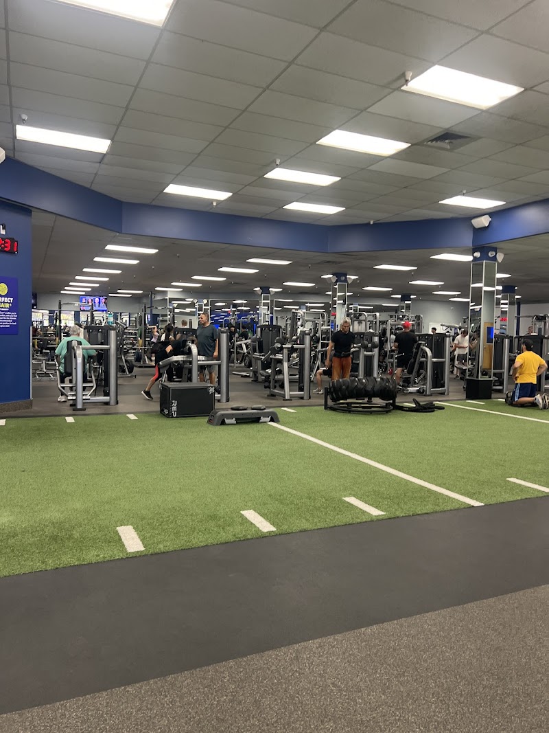 Fitness 19
