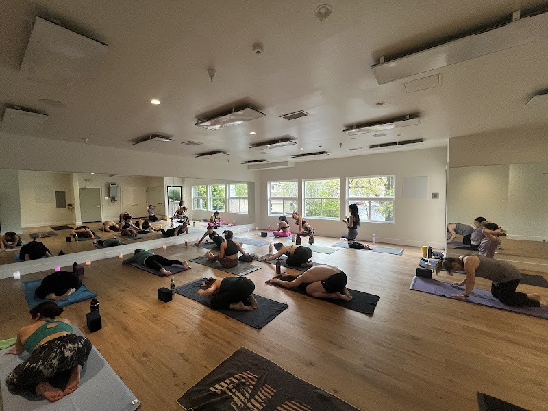 Bodhi Hot Yoga and Fitness photo 2