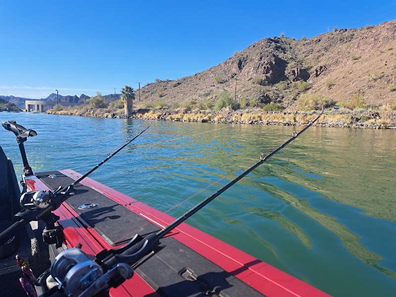HavasuNetEm - Lake Havasu's most experienced fishing guide photo 3