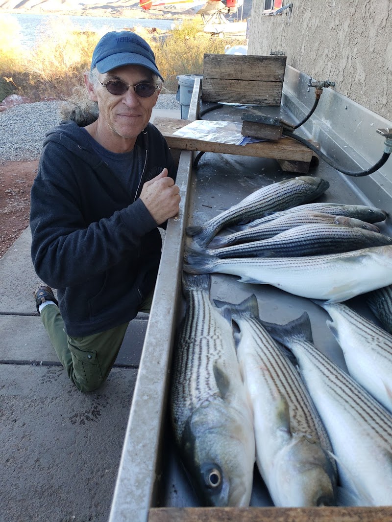 HavasuNetEm - Lake Havasu's most experienced fishing guide photo 2