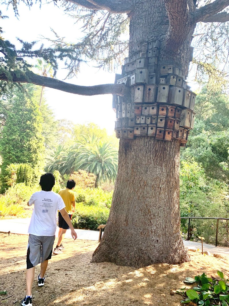 Montalvo Arts Center photo 3