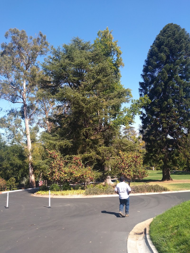 Montalvo Arts Center photo 4