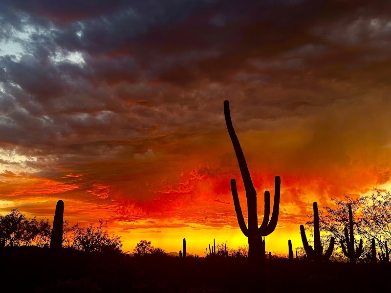 Tucson Insurance photo 3