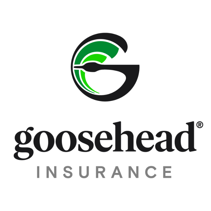 Photo of Goosehead Insurance - Lou Tharayil