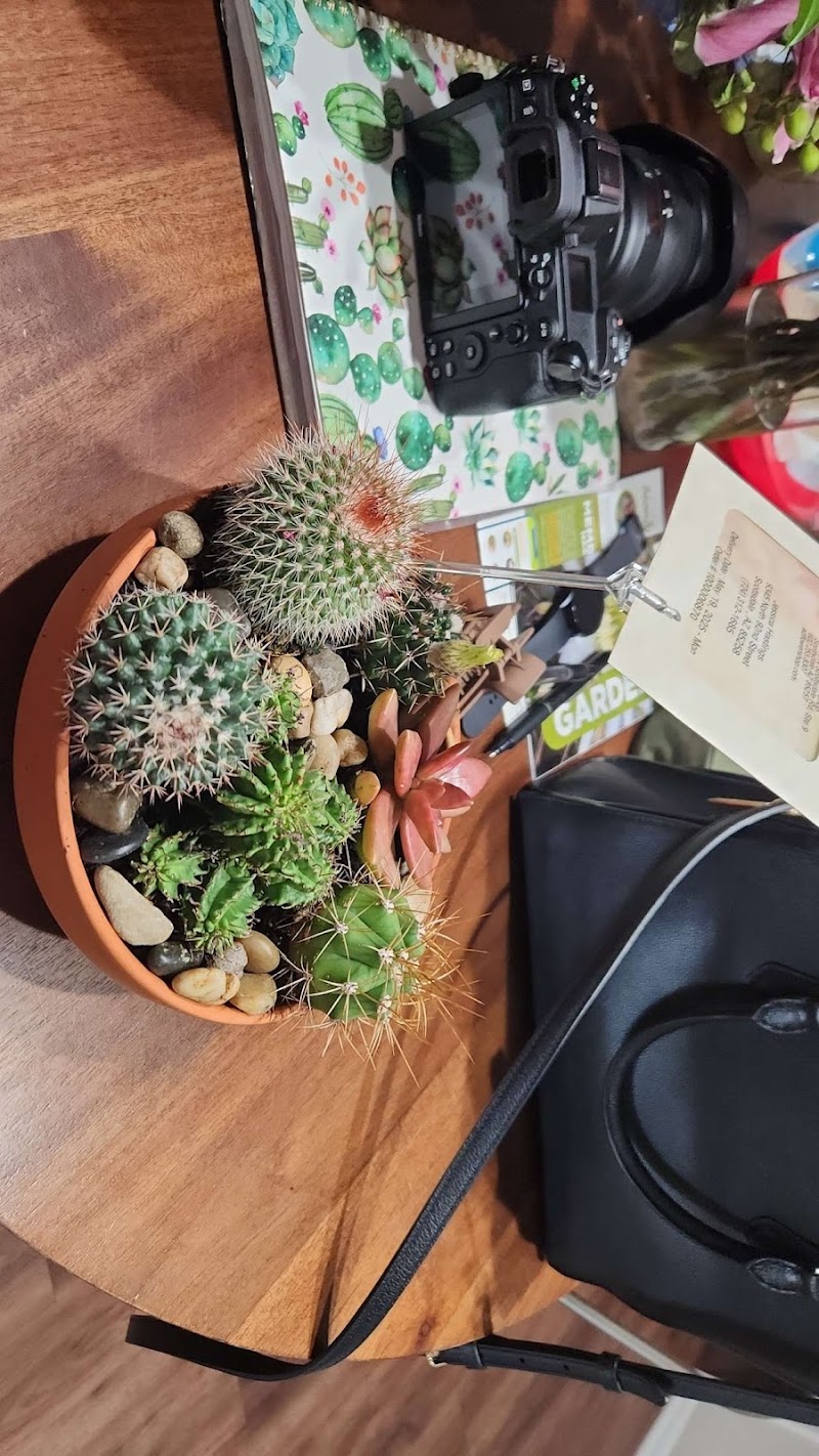 Arizona Flower Shop photo 4