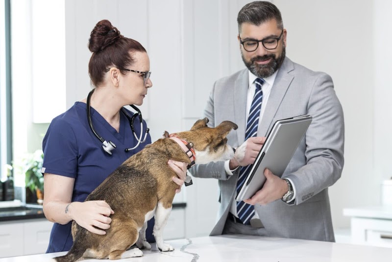 KCG Veterinary Advisors photo 2