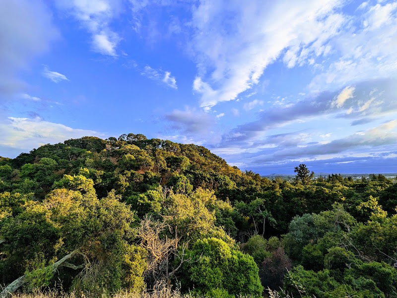 Dry Creek Pioneer Regional Park photo 4