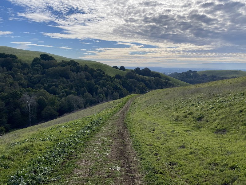 Dry Creek Pioneer Regional Park photo 5