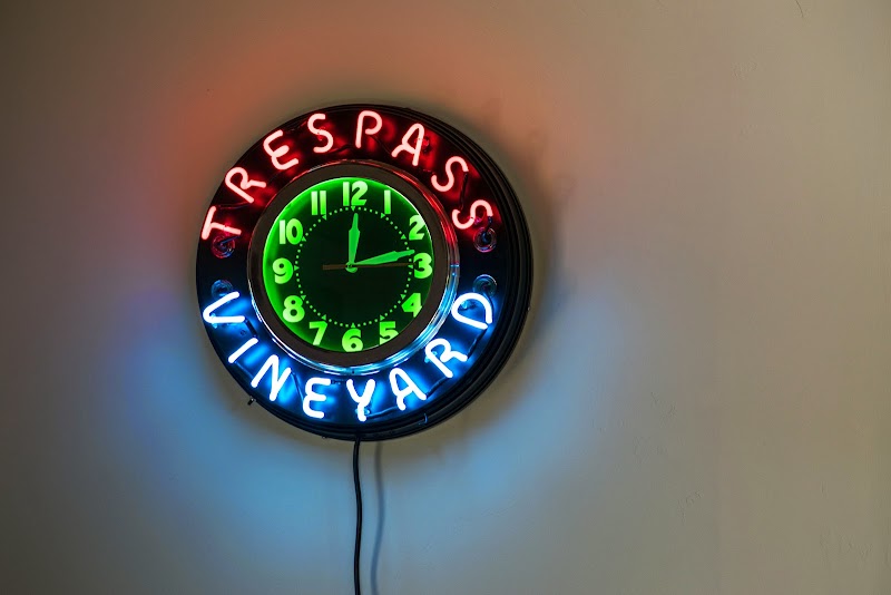 Trespass Vineyard photo 3