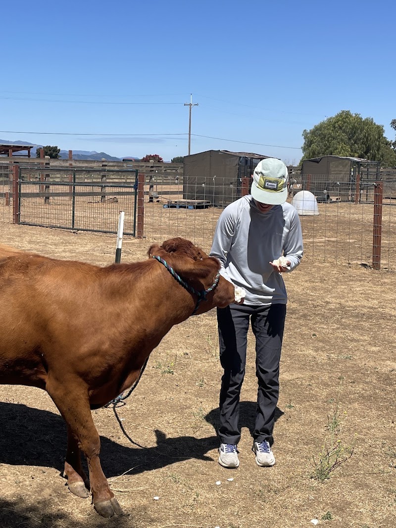 Back to Eden Ranch photo 3