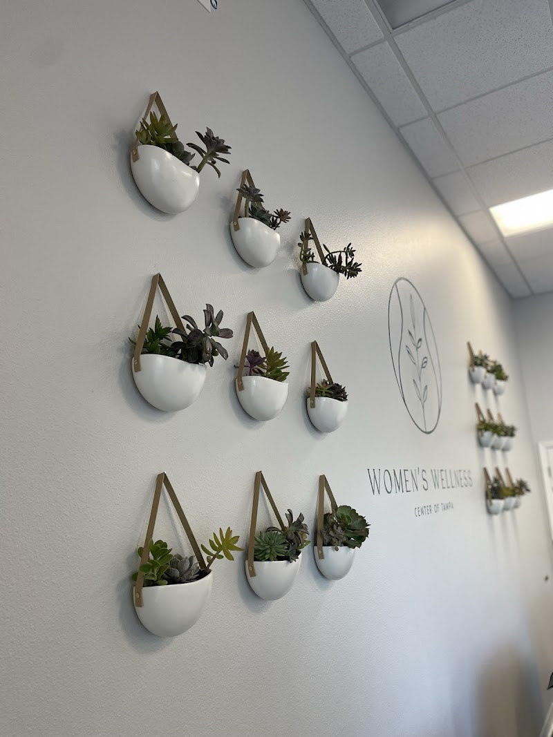 Women's Wellness Center of Tampa photo 5