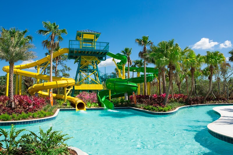 The Grove Resort & Water Park Orlando photo 3