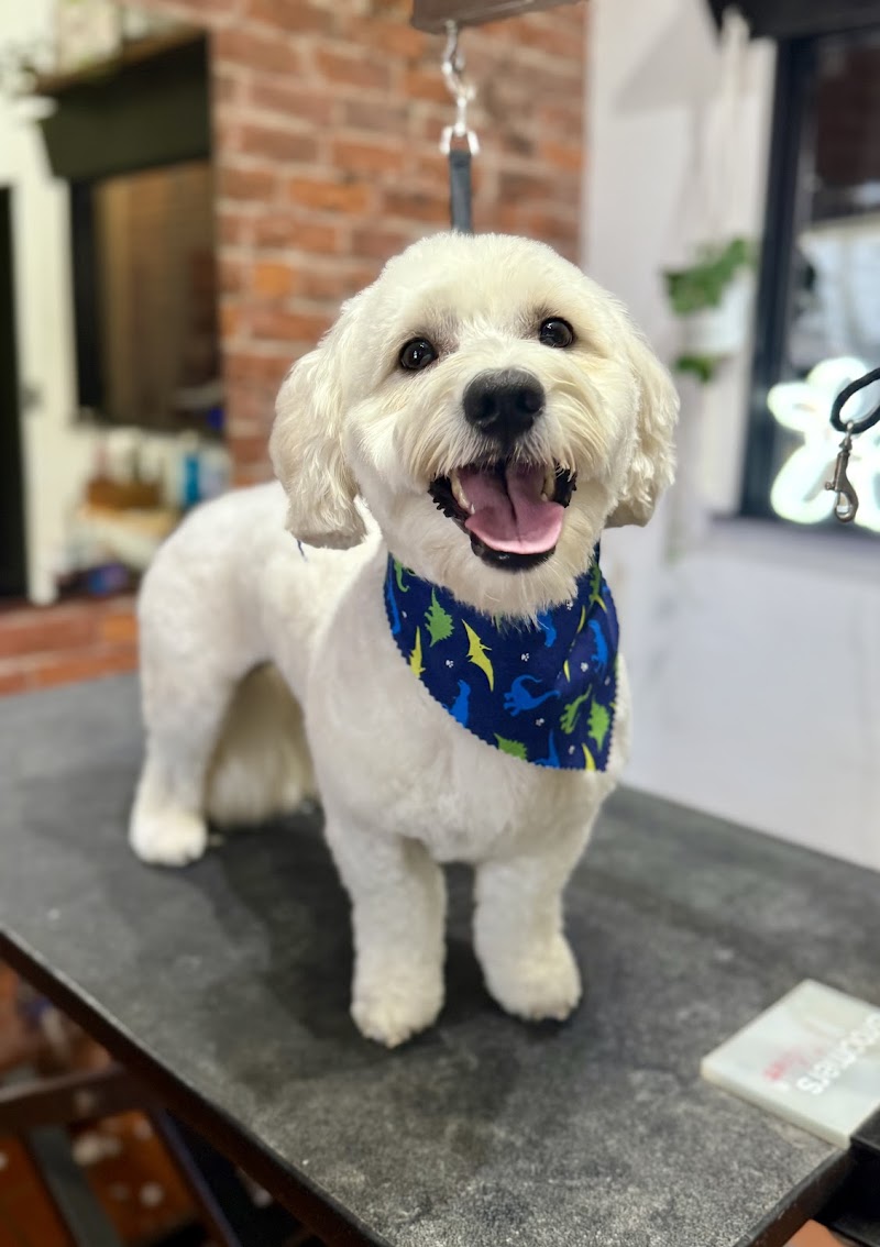 Photo of Dawg House Pet Grooming