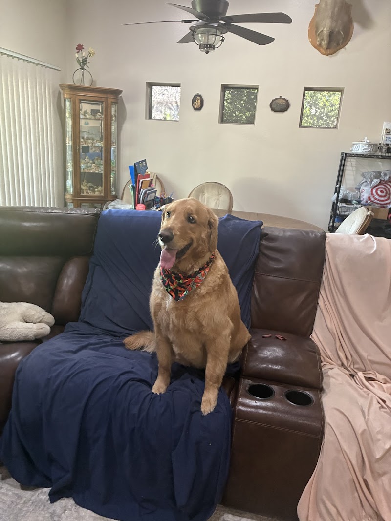 Pete and Mac’s Pet Resort photo 3