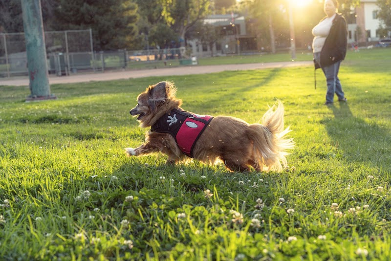 Photo of San Bruno City Park (Picnic Area #11)