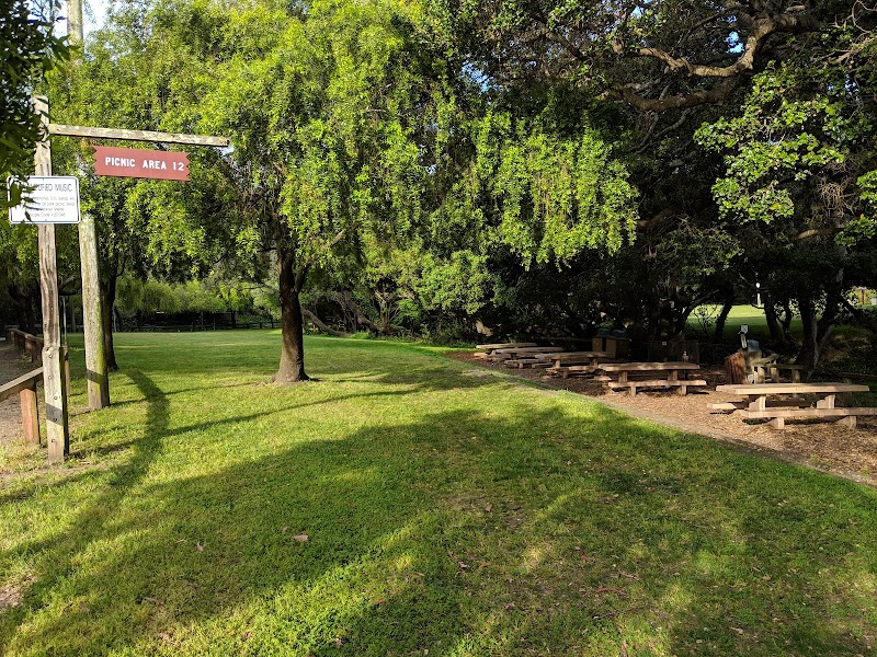 San Bruno City Park (Picnic Area #11) photo 3