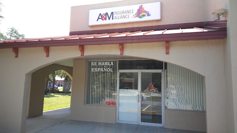 A & M Insurance Alliance photo 2