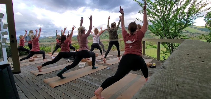 The Yoga Van photo 2