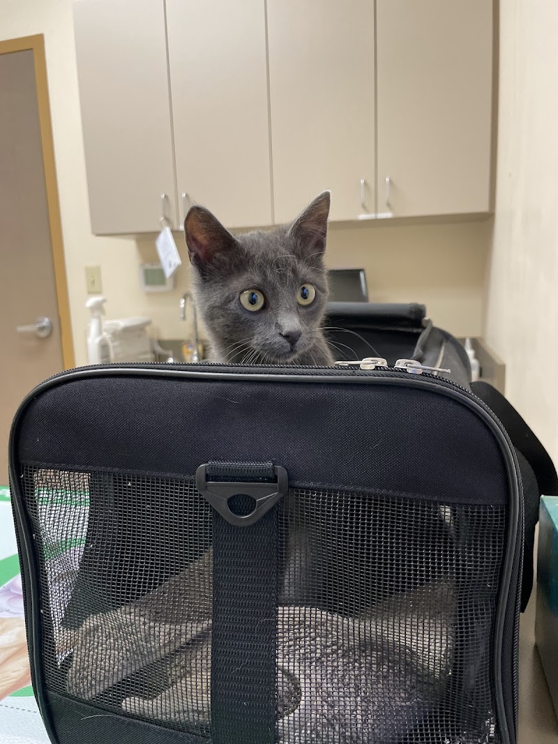 Jumper Creek Veterinary Clinic photo 2