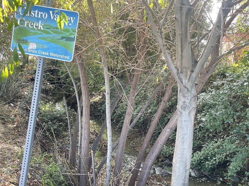 Castro Valley Creek trail. photo 4