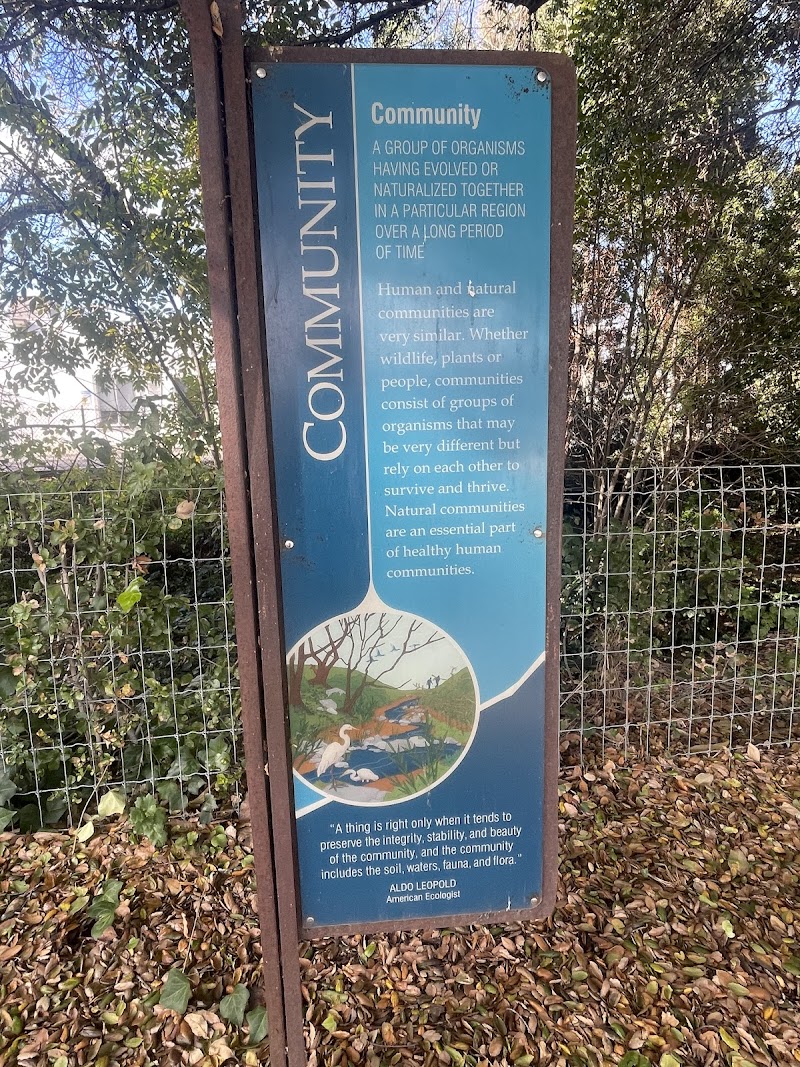 Castro Valley Creek trail. photo 2