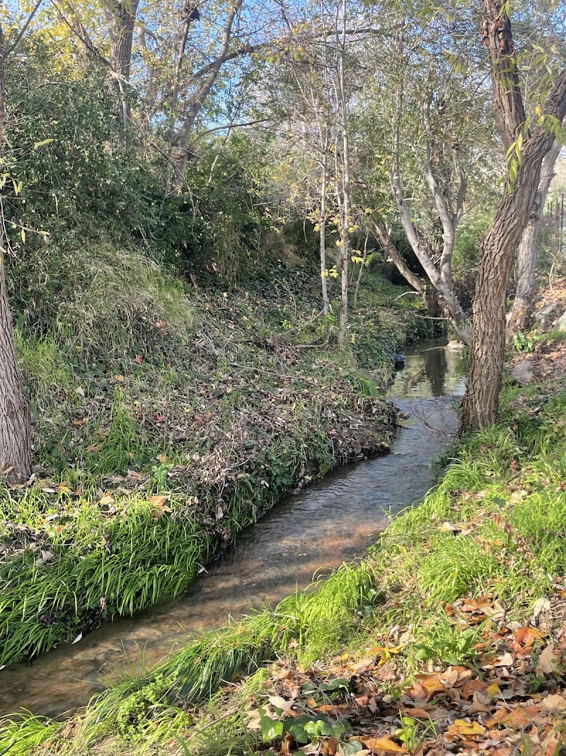 Photo of Castro Valley Creek trail.