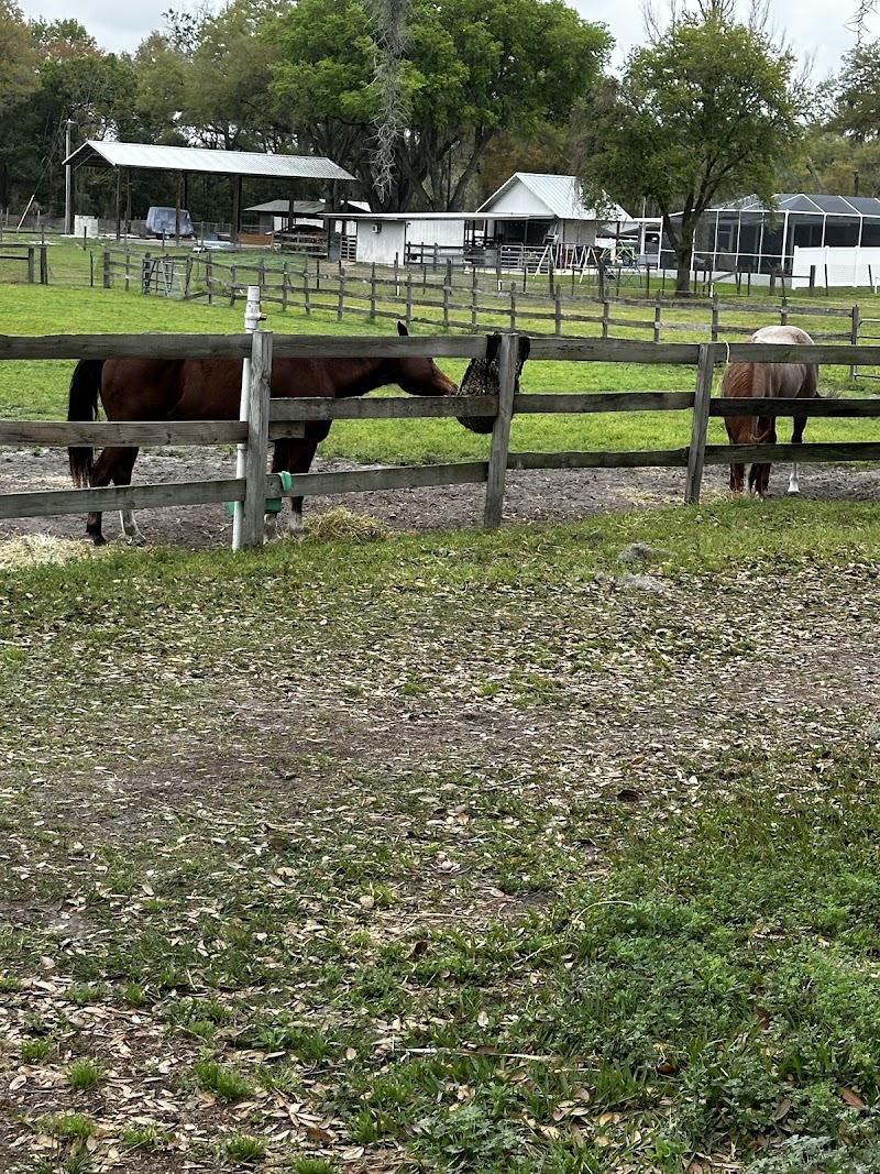Golden Legacy Farms photo 4