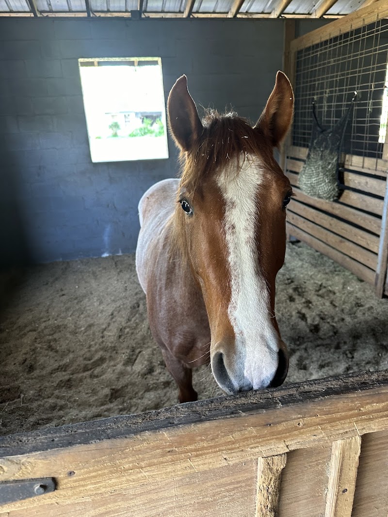 Golden Legacy Farms photo 5