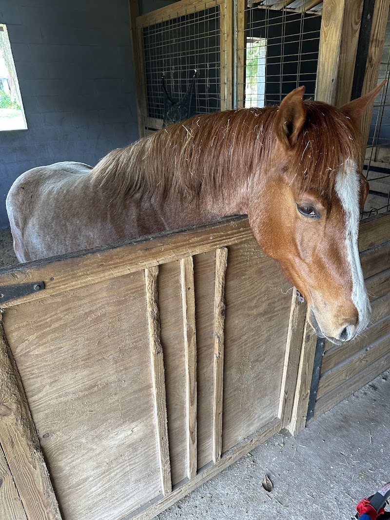 Photo of Golden Legacy Farms