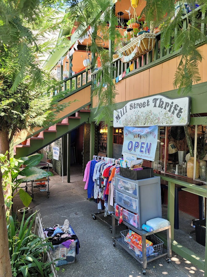 Photo of Mill Street Thrift