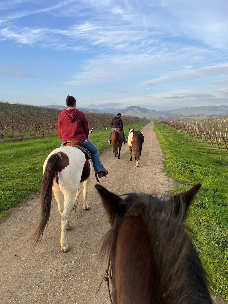 Photo of Haire Lane Stables