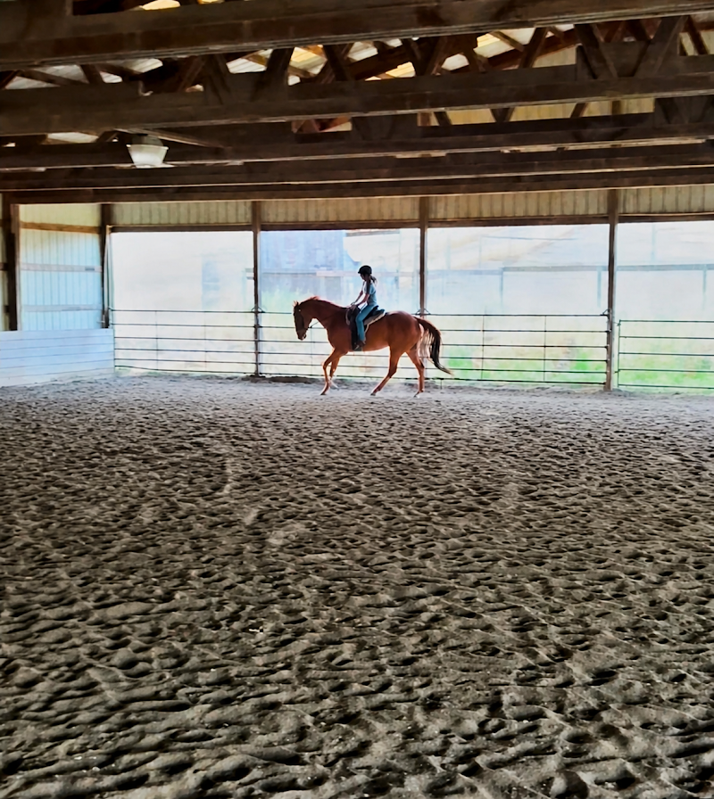 Haire Lane Stables photo 5