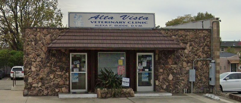 Alta Vista Veterinary Clinic photo 4