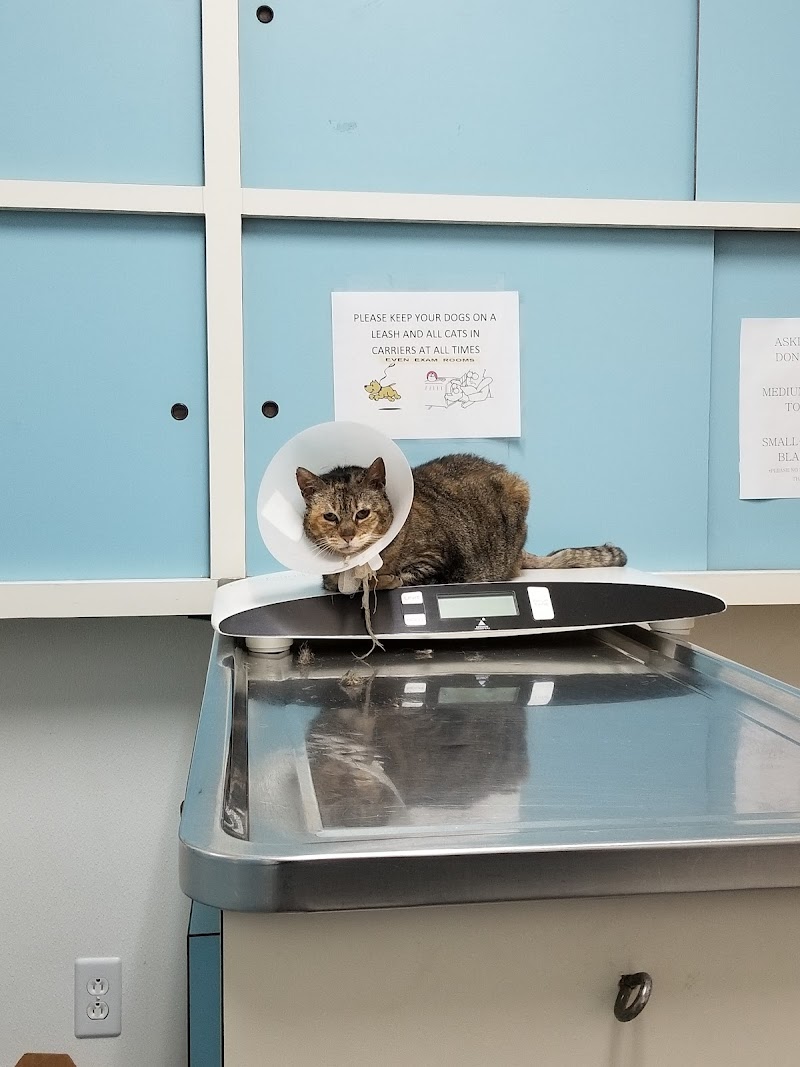 Photo of Alta Vista Veterinary Clinic